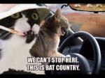 BatCountry.jpg