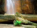 BerryCreekFalls,BigBasinRedwoodsStatePark,California.jpg