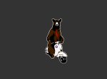 FaggioBear.png