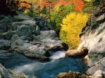 GlenEllisFalls,WhiteMountainNationalForest,NewHampshire.jpg