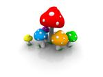 Mushrooms.jpg