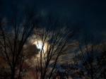 NightSky.jpg
