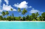 Paradise.jpg