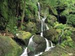 RoaringFork,SmokyMountains,Tennessee.jpg