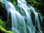 SoddenMoss,ProxyFalls.jpg