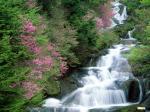 TochigiPrefecture,Nikko,Japan.jpg