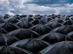 Umbrellas.jpg
