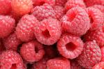 berries.jpg
