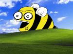 blissBee.jpg