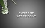 excusemewtfrudoin.jpg