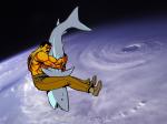 hurricaneshark.jpg