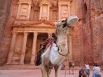 jordan-petra-treasury-camel.jpg