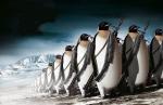 linuxarmy.jpg