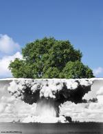 nuketree.jpg