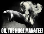 ohthehugemanatee.jpg