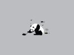 panda.jpg
