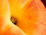 peach.jpg